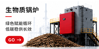 生物质锅炉